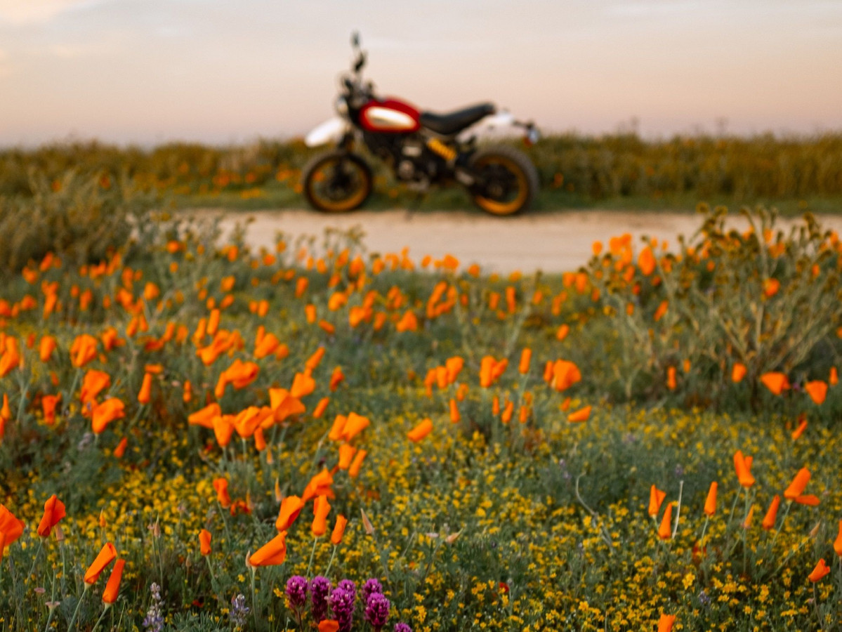 jeremy-bishop-lfJSFNFxSyE-unsplash